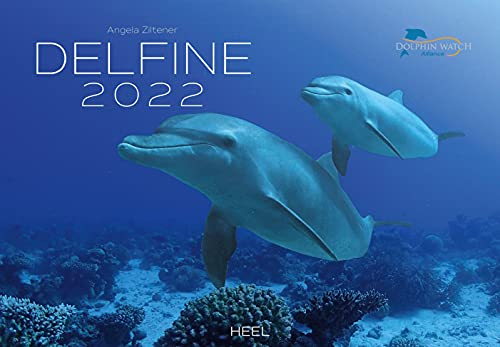 Delfine 2022: Der offizielle Dolphin Watch Alliance Kalender