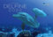 Delfine 2022: Der offizielle Dolphin Watch Alliance Kalender