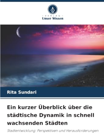 Ein kurzer Überblick über die städtische Dynamik in schnell wachsenden Städten: Stadtentwicklung: Perspektiven und Herausforderungen