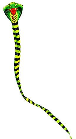 MagiDeal Riesiger Bunter Drachen 3D Einleiner Drachen Lässt Sich Leicht für Den Fliegen, Schlange