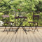 KTHLBRH Bistrostühle 2 STK. Klappbar Braun Poly Rattan und Stahl, Balkonstühle Outdoor-Stühle Terrassenstühle Freizeitstühle für Garten, Rasen, Terrasse