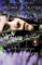 Winds of Salem: A Witches of East End Novel (Witches of East End, 3, Band 3)