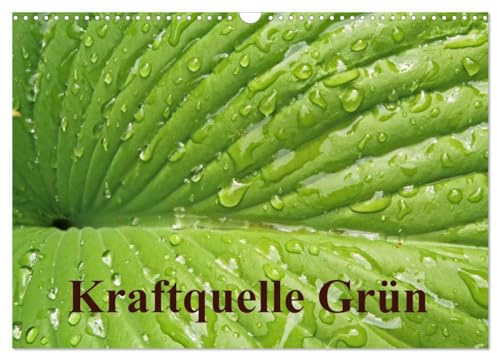 Kraftquelle Grün (Wandkalender 2026 DIN A3 quer), CALVENDO Monatskalender: Grün ist die Farbe der Hoffnung, deshalb wird das junge Frühlingsgrün auch ... Kraft und Energie schenkt. (CALVENDO Natur)