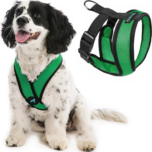Gooby Comfort X Head in Harness - Hunter Green, Small - No Pull Small Dog Harness Patentierter Würgefreier X Rahmen