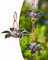 Regenkette Gartenregenketten für Dachrinnen, Metall Blume Regen Kette Dekor, Japanische Regen Fänger Kette Tassen, Hof Regenwasser Umleiter Fallrohre, Leicht zu Montieren ( Color : Style1 , Size : 2m/