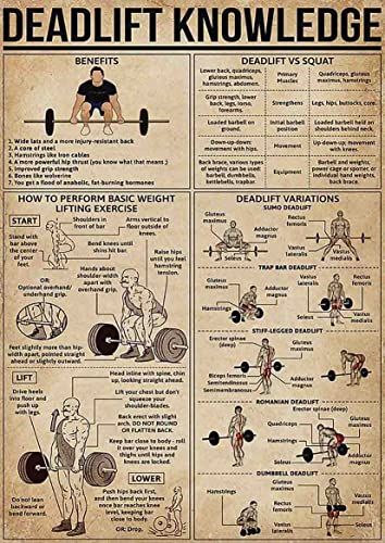 ARA STEP Vintage Sport Knowledge Educational Posters Wall Art Decor Prints UNframed D (297 x 420 mm, Deadlift Knowledge)