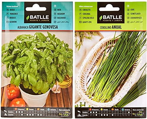 Semillas Batlle - Albahaca GIGANTE Genovesa, Color Verde & Cebollino anual