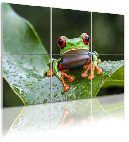 Art Acoustic Panels Frog 6 Pack Decorative Sound Absorbing Wall Panels 72x48 Noise Canceling Soundproof Padding Room Decor for Office