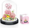 Blumen Klemmbausteine Set - 624 Teile Rosa Nelke Blumenstrauß mit Schutzhülle, Botanische Kollektion, Geschenk für Erwachsene & Kinder,Bausteine Blumen für Muttertagsgeschenk