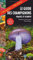 Guide des champignons - France et Europe - 4e édition