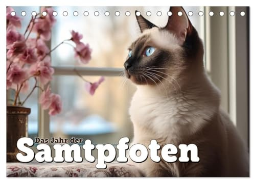 Das Jahr der Samtpfoten (Tischkalender 2026 DIN A5 quer), CALVENDO Monatskalender: Stilsicher zeigen sich unsere lieben Samtpfötchen (CALVENDO Tiere)