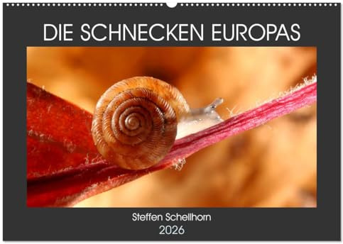 DIE SCHNECKEN EUROPAS (Wandkalender 2026 DIN A2 quer), CALVENDO Monatskalender: Der Vielfältigkeit der Schnecken in Europa auf der Spur (CALVENDO Tiere)