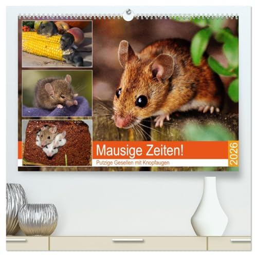 Mausige Zeiten! Putzige Gesellen mit Knopfaugen (hochwertiger Premium Wandkalender 2026 DIN A2 quer), Kunstdruck in Hochglanz: Niedliche Farbmäuse und wilde Artgenossen (CALVENDO Tiere)