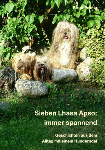 Sieben Lhasa Apso: immer spannend: Geschichten aus dem Alltag mit einem Hunderudel