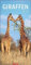 Giraffen Kalender 2024 XL Hochformat. Die beliebten Tiere in einem länglichen Kalender porträtiert. Wandkalender für Tierfreunde. Großformat 33x68 cm