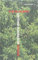 Unterm Nussbaum: Roman