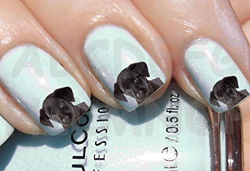 AWS Set Water Decals Dog Labrador Black Nail Art Stickers Black Dog Puppy Sweet DOG Stickers Puppy Transfer Water Transfer Stickers (20)