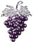 Casiler Raisins Broches Broches Broches pour Femme Robe Foulard Accessoire