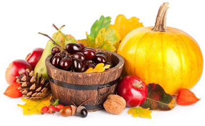 adrium Acryl-Bild 60 x 40 cm: herbstliche ernte obst und gemüse mit gelben blättern isoliert auf weißem hintergrund(15535413)