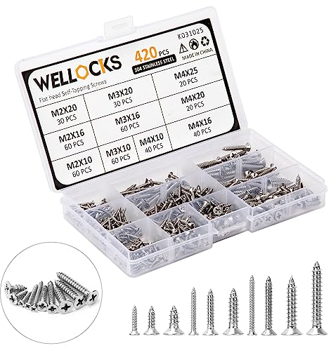 WELLOCKS Selbstschneidende Schrauben | 420 PCS M2/M3/M4 Edelstahl Schrauben Sortiment Kit | Flacher Kopf Blechschrauben Holzschrauben Set mit Aufbewahrungsbox | für Hausgemachte Reparatur(K031025)