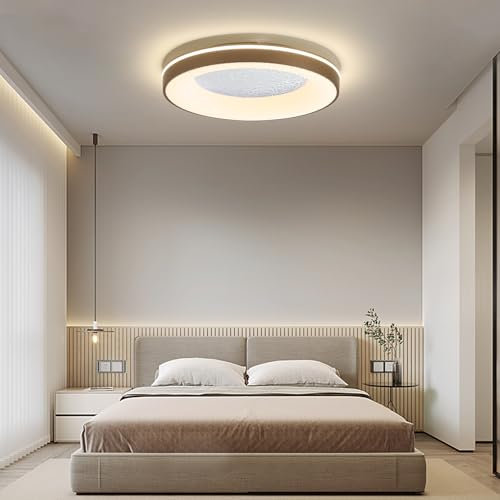 Mikeru Contemporary Ceiling Light, 50cm Flush Round Ceiling Light Champagne Gold Color Non-dimmable 3000k/4500k/6500k Large Hallway Lights Without Remote Control for Living Room, Kitchen