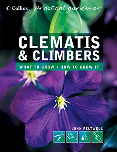 Clematis and Climbers (Collins Practical Gardener S.)