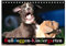 Bulldoggen-Kindergarten (Tischkalender 2025 DIN A5 quer), CALVENDO Monatskalender