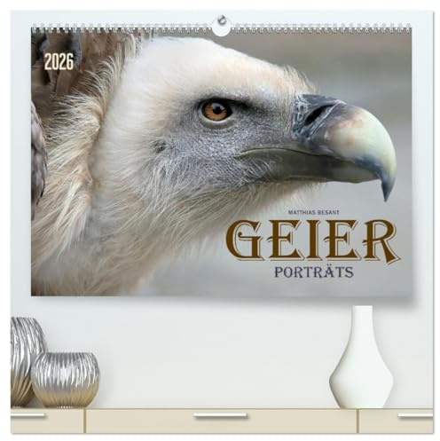 GEIERPORTRÄTS (hochwertiger Premium Wandkalender 2026 DIN A2 quer), Kunstdruck in Hochglanz: Nahaufnahmen verschiedener Geier (CALVENDO Orte)