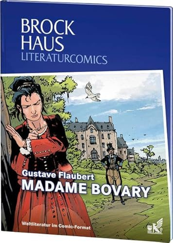 Brockhaus Literaturcomics Madame Bovary: Weltliteratur im Comic-Format