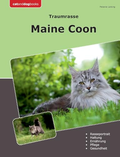Traumrasse Maine Coon