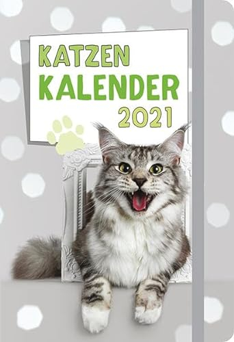 Katzen - Kalender 2021: Taschenkalender mit Lesebändchen und Gummiband