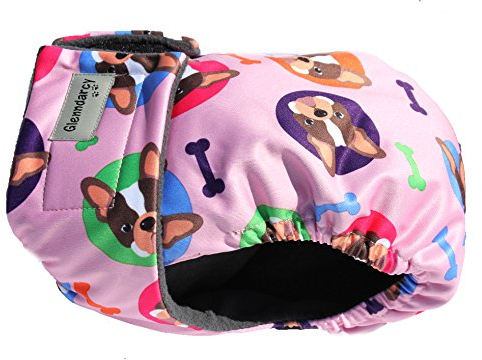 Glenndarcy Hundewindeln - OHNE SCHWANZLOCH - für z.B FRENCHIES und Bulldoggen - Frenchies Medium & 2 Washable Pads