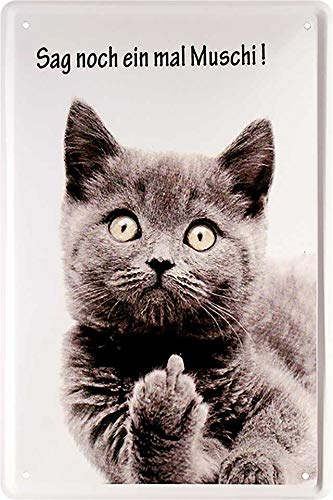 Blechschilder Lustiger Spruch & Motiv “Sag noch einmal Muschi!“ Deko Katze Katzenschild Türschild Metallschild Schild Geschenkidee für alle Katzenbesitzer oder Katzen Fans 20x30 cm