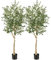 COSTWAY Lot de 2 Plantes Artificielles en Pot Hauteur 185CM, Olivier Artificiel 1296 Feuilles en Soie 72 Fruits avec Base de Ciment Décoration pour Maison Cour et Jardin