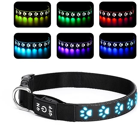 Brifit LED Halsband Hund Leuchtend mit 14 Beleuchtungsmodi, Leuchthalsband Hunde USB Aufladbar, Einstellbar Sicherheit Hundehalsband für Mittlere Große Hund für Sicherheit Nachts - M