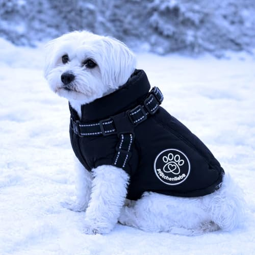Pfötchenliebe® Wasserfester Hundemantel Extreme wasserdichte Winter Hundejacke mit Reflektoren, Ärmelose gefütterte Weste, Integriertes Geschirr, Perfekt für kalte Tage (Schwarz, L)