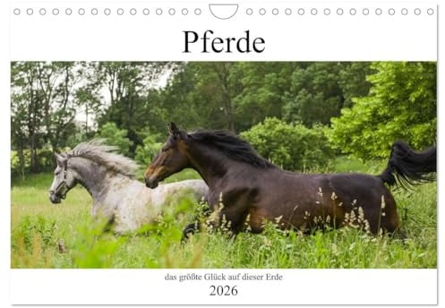 Pferde, das größte Glück auf dieser Erde (Wandkalender 2026 DIN A4 quer), CALVENDO Monatskalender: Nicht ohne Grund heißt es, Pferde machen glücklich (CALVENDO Tiere)