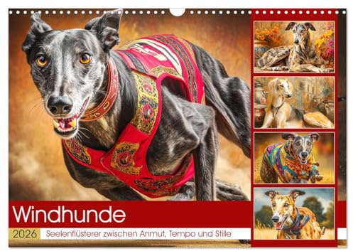 Windhunde. Seelenflüsterer zwischen Anmut, Tempo und Stille (Wandkalender 2026 DIN A3 quer), CALVENDO Monatskalender: Windhunde in Momenten voller ... und natürlicher Schönheit (CALVENDO Tiere)
