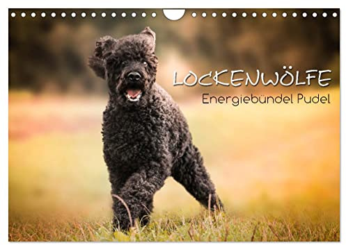 Lockenwölfe - Energiebündel Pudel (Wandkalender 2026 DIN A4 quer), CALVENDO Monatskalender: Der Pudel mal anders - die Lockenwölfe begleiten Sie durch das Jahr (CALVENDO Tiere)