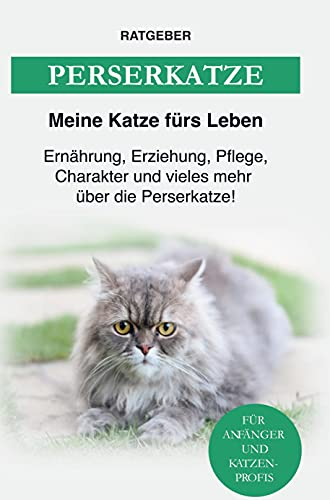 Perserkatze: Erziehung, Charakter, Ernährung, Pflege und einiges mehr über die Perser-Katze
