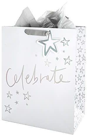 Hallmark Multi-Occasion Large Gift Bag and Tissue Paper Set - Holographic Foil Text Design with Silver Paper
