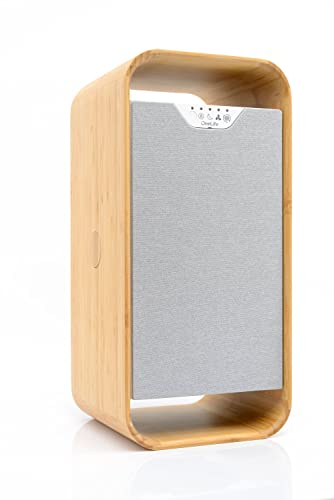 OneLife X Design-Luftreiniger | waschbarer Filter | keine Filterkosten | entfernt 99,99% Pollen, Staub, Bakterien und Viren | ruhig | langlebig | effizient