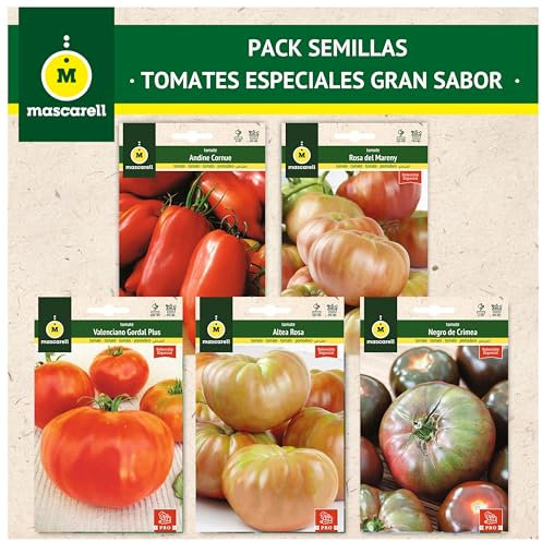 Mascarell Semillas, PACK SEMILLAS TOMATES ESPECIALES GRAN SABOR, Kit Huerto en Casa, Fácil de Cultivar, Contiene 5 Variedades de Tomates Sabrosos