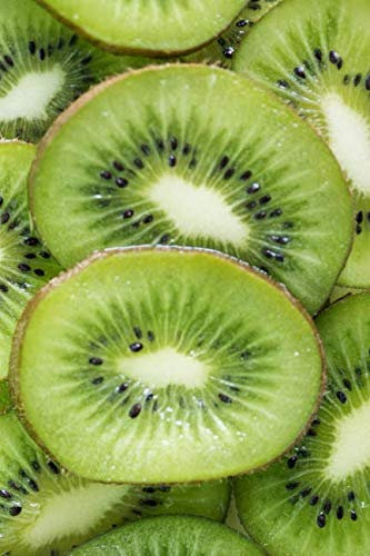 Kiwi Notebook: Perfect for Everybody, Drawing and Writing (110 Pages, Blank, 6 x 9)(Fruity Notebooks) (Fruits, Band 5)