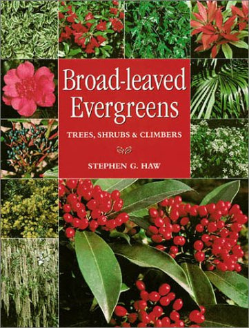 Broad-leaved Evergreens: Trees, Shrubs and Climbers