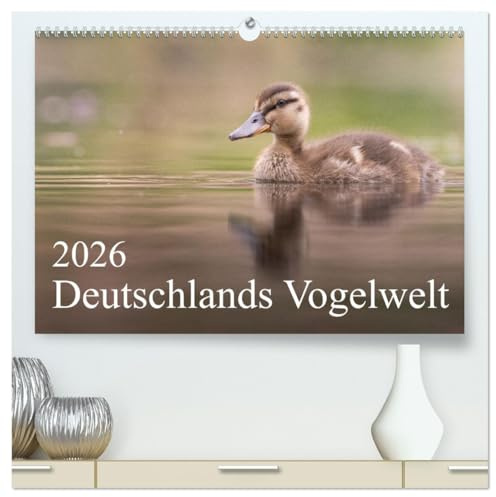 Deutschlands Vogelwelt (hochwertiger Premium Wandkalender 2026 DIN A2 quer), Kunstdruck in Hochglanz: Ein Jahr voller spannender Vogelarten aus Deutschland. (CALVENDO Tiere)
