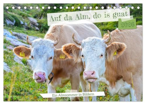 Bergstille – Momente auf der Alm (Tischkalender 2026 DIN A5 quer), CALVENDO Monatskalender: Der Alpsommer ist eine besondere Zeit im Jahreslauf - ein ... hoch oben in den Bergen. (CALVENDO Natur)