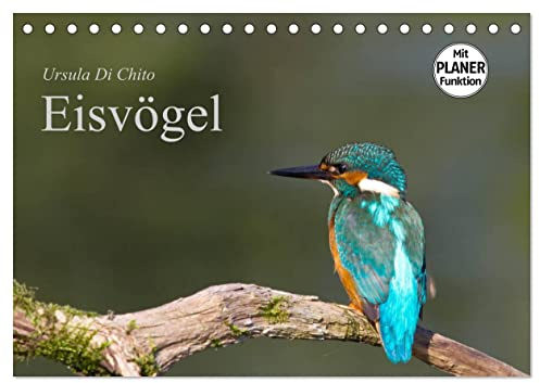 Eisvögel (Tischkalender 2026 DIN A5 quer), CALVENDO Monatskalender: Ein Planer mit schönen Aufnahmen von Eisvögeln (CALVENDO Tiere)