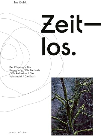 Zeitlos in Begegnung: Im Wald