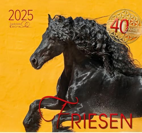 Friesen 2025: Friesen Pferde